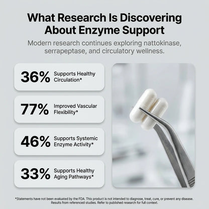 The Enzyme Stack | Nattokinase 20,000 FU + Serrapeptase 120,000 SPU