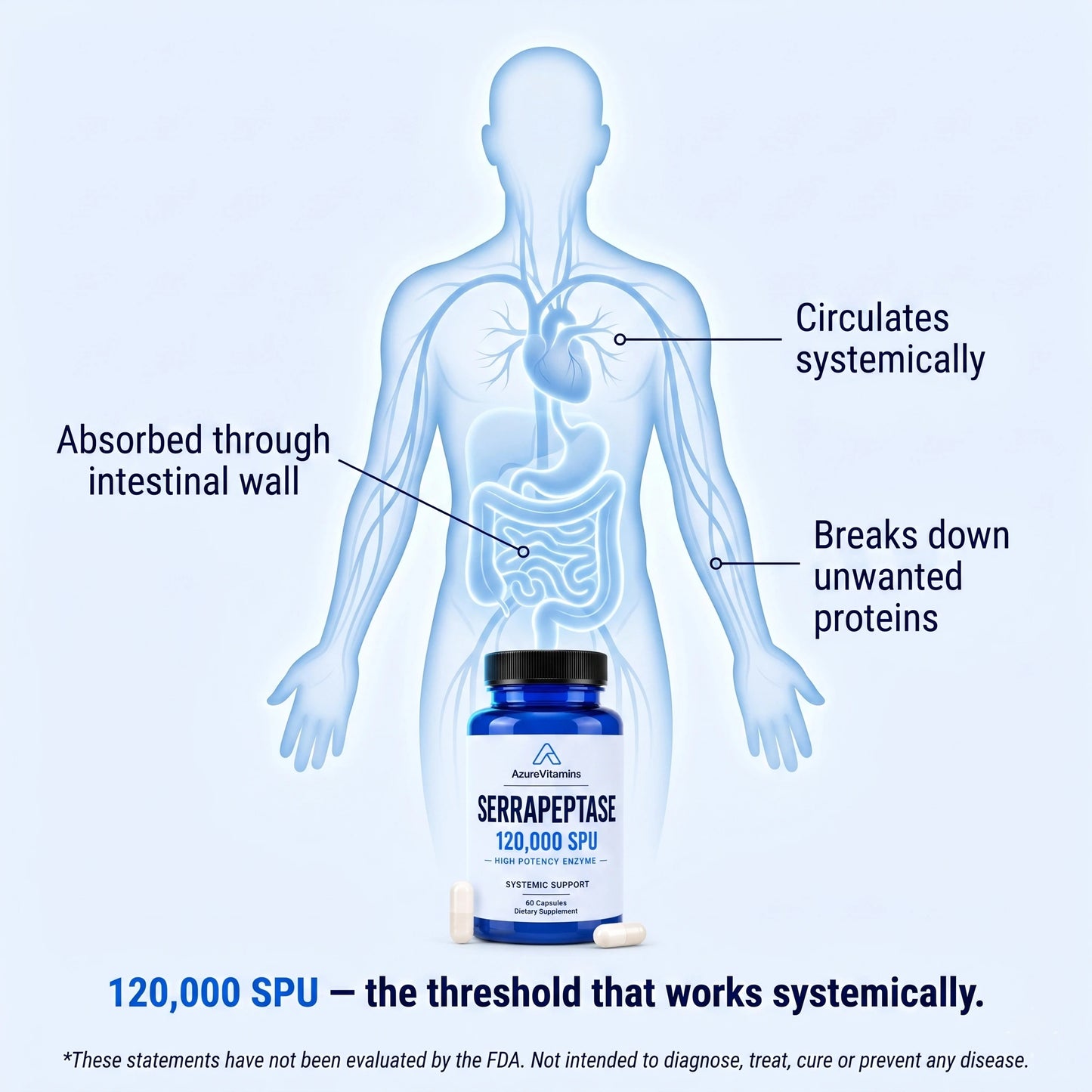 Serrapeptase 120,000 SPU - High Potency Systemic Enzyme