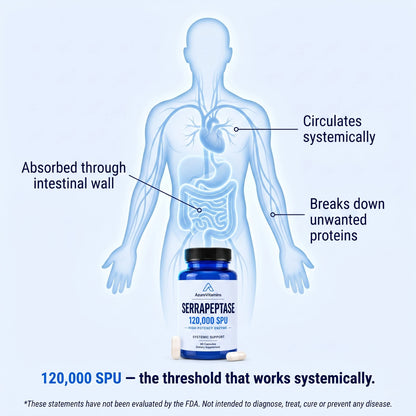 Serrapeptase 120,000 SPU - High Potency Systemic Enzyme