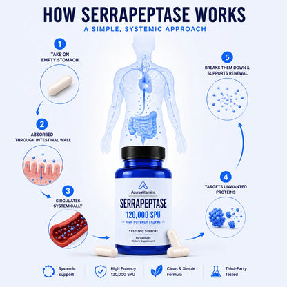 Serrapeptase 120,000 SPU - High Potency Systemic Enzyme